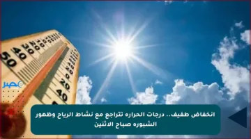 انخفاض طفيف.. درجات الحرارة تتراجع مع نشاط الرياح وظهور الشبورة صباح الاثنين